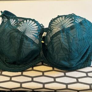 Luxurious Teal Lace Bra